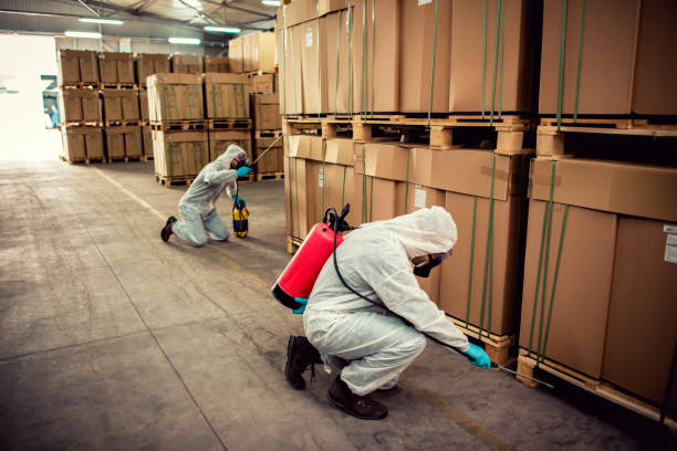 Best Mosquito Control Services  in Clarkdale, AZ