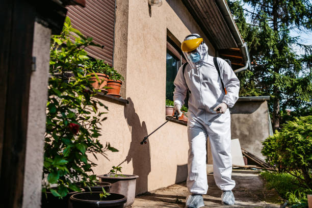 Best Emergency Pest Control  in Clarkdale, AZ