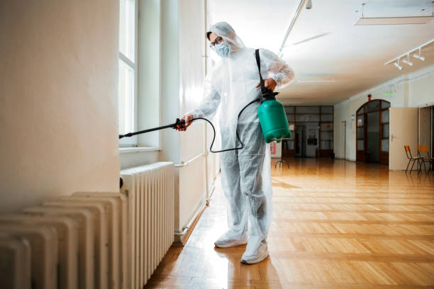 Best Pest Prevention Services  in Clarkdale, AZ