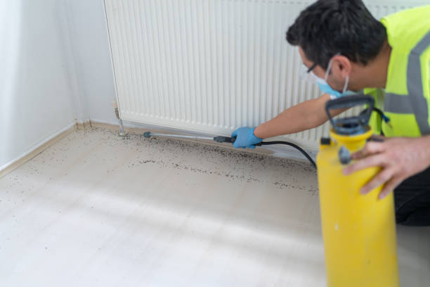 Best Pest Prevention Services  in Clarkdale, AZ